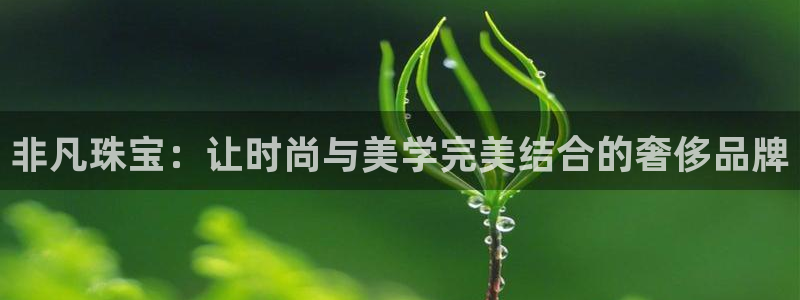 开丰娱乐更多平台：非凡珠宝：让时尚与美学完美结合的奢侈品牌