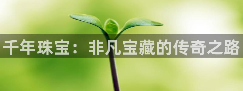开丰娱乐天7O667：千年珠宝：非凡宝藏的传奇之路