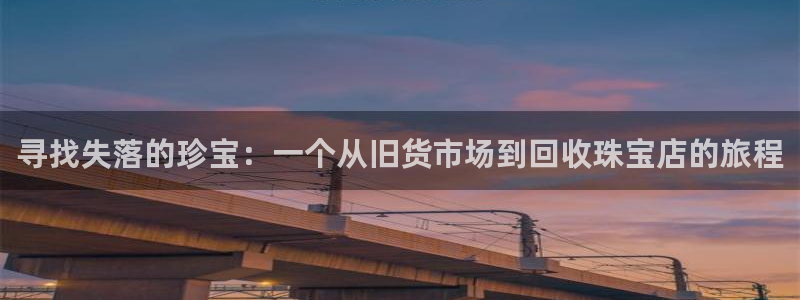 开丰娱乐登入地址查询：寻找失落的珍宝：一个从旧货市场到回收珠宝店的旅程