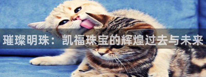 开丰娱乐行业恢复时间：璀璨明珠：凯福珠宝的辉煌过去与未来