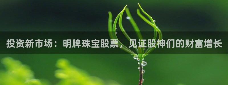 开丰娱乐若七九九：投资新市场：明牌珠宝股票，见证股神们的财富增长