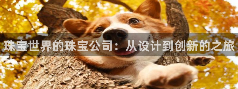 开丰娱乐平台：珠宝世界的珠宝公司：从设计到创新的之旅