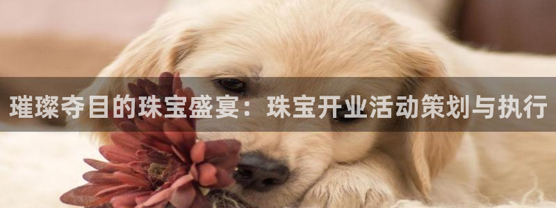 开丰娱乐地址：璀璨夺目的珠宝盛宴：珠宝开业活动策划与执行