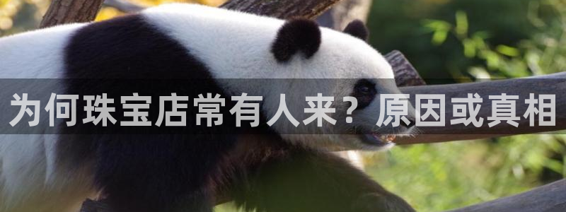 开丰娱乐官网首页：为何珠宝店常有人来？原因或真相