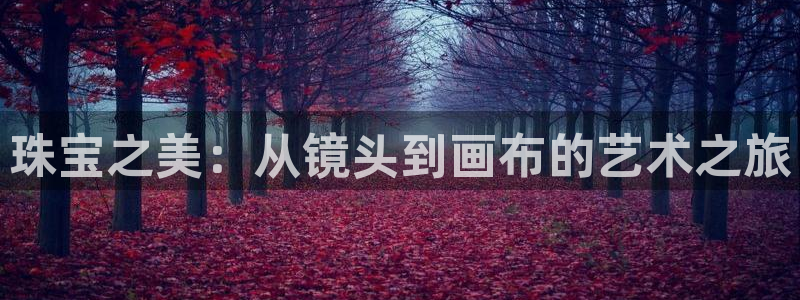 开丰娱乐天富娱乐：珠宝之美：从镜头到画布的艺术之旅