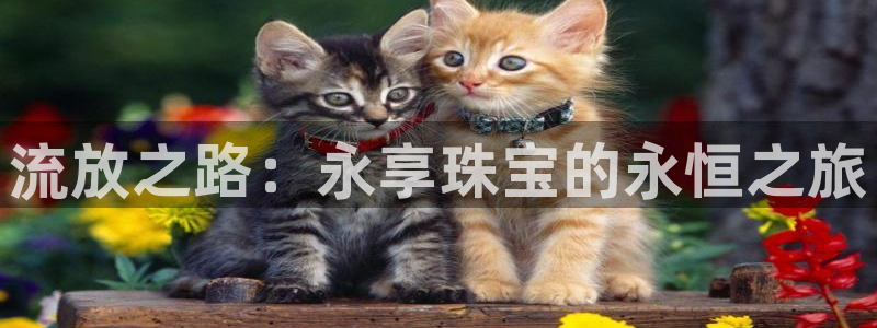 开丰娱乐与六七五一38：流放之路：永享珠宝的永恒之旅