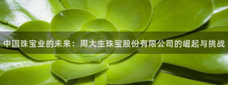 开丰娱乐左：中国珠宝业的未来：周大生珠宝股份有限公司的崛起与挑战
