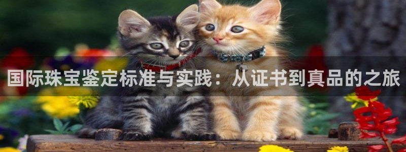 开丰娱乐平台登录：国际珠宝鉴定标准与实践：从证书到真品的之旅