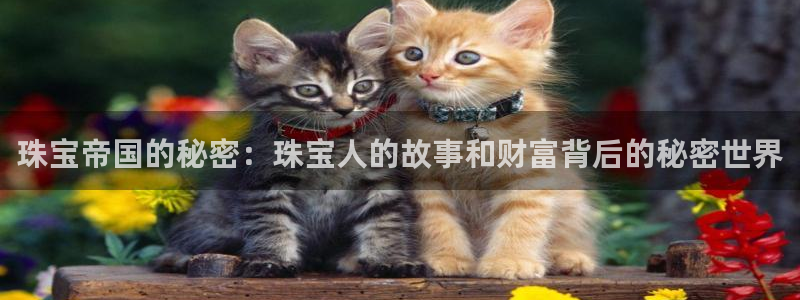 开丰娱乐官网首页：珠宝帝国的秘密：珠宝人的故事和财富背后的秘密世界