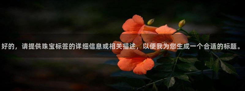 开丰娱乐科技