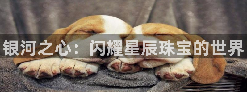 开丰娱乐网站官网下载