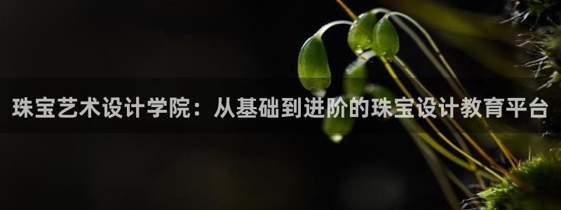 开丰娱乐网站官网首页：珠宝艺术设计学院：从基础到进阶的珠宝设计教育平台