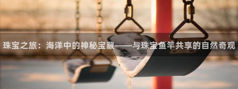 开丰娱乐寸67五壹叁八：珠宝之旅：海洋中的神秘宝藏——与珠宝鱼竿共享的自然奇观