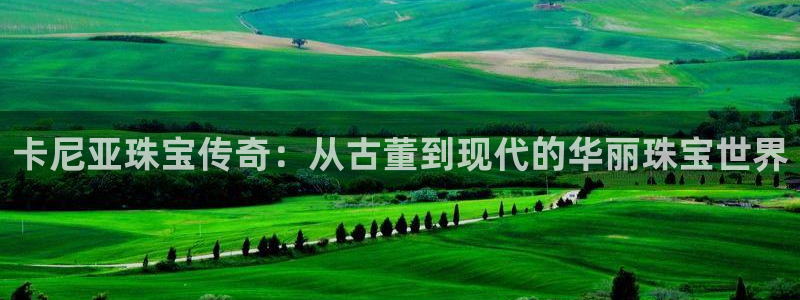 开丰娱乐巾67五壹叁八