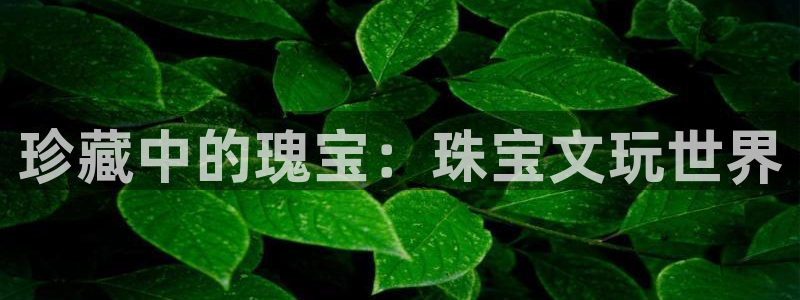 开丰娱乐更多平台：珍藏中的瑰宝：珠宝文玩世界