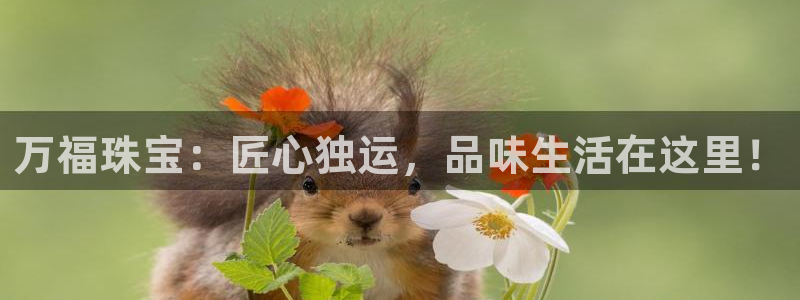 开丰娱乐官网最新消息：万福珠宝：匠心独运，品味生活在这里！