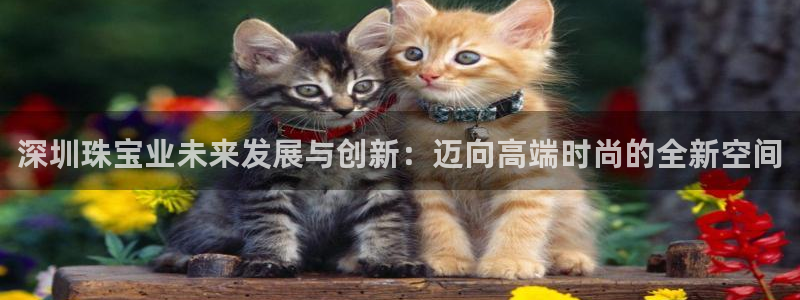 开丰娱乐右7O667：深圳珠宝业未来发展与创新：迈向高端时尚的全新空间