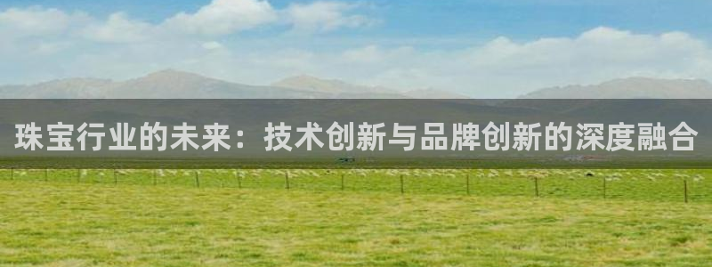 开丰娱乐平台地址：珠宝行业的未来：技术创新与品牌创新的深度融合