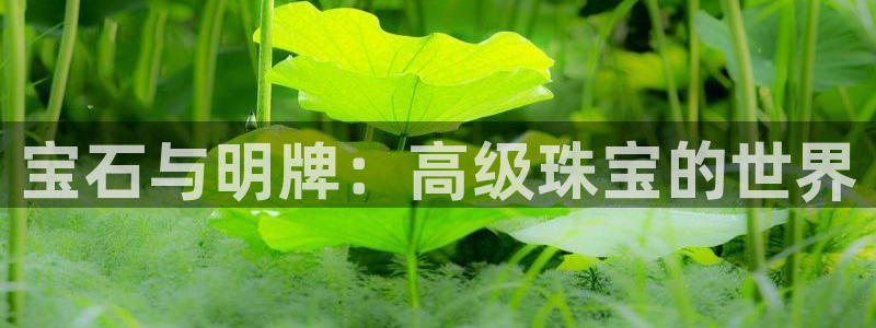 开丰娱乐登入地址查询：宝石与明牌：高级珠宝的世界