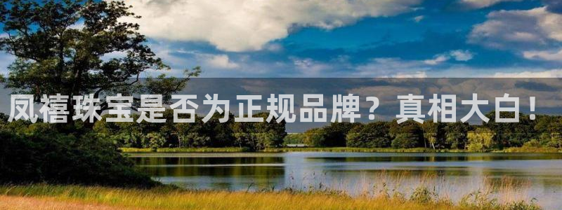 开丰娱乐乙833_43：凤禧珠宝是否为正规品牌？真相大白！