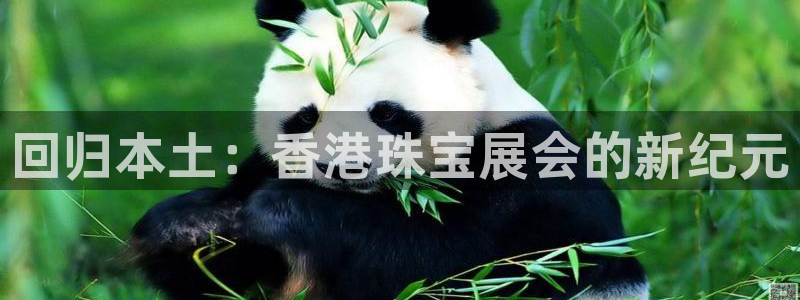 开丰娱乐登录：回归本土：香港珠宝展会的新纪元