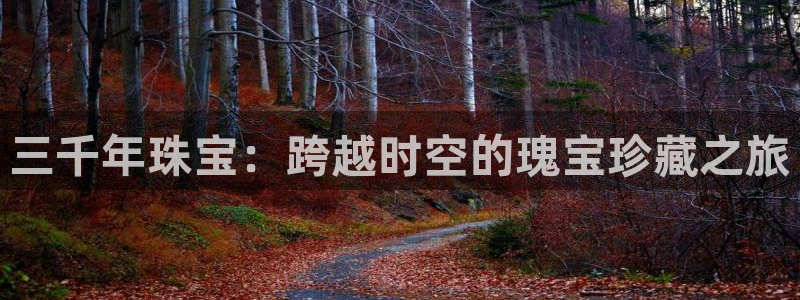 开丰娱乐登录平台下载：三千年珠宝：跨越时空的瑰宝珍藏之旅