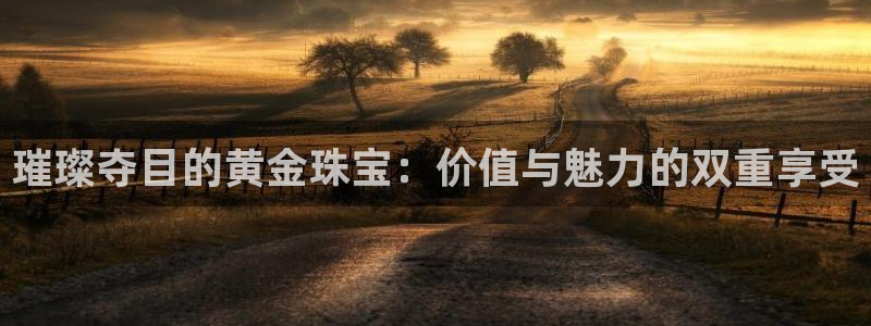 开丰娱乐姜333OO：璀璨夺目的黄金珠宝：价值与魅力的双重享受