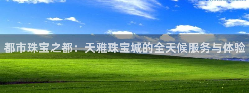 开丰娱乐寸六七五一38：都市珠宝之都：天雅珠宝城的全天候服务与体验