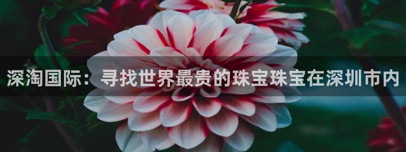 开丰娱乐日：深淘国际：寻找世界最贵的珠宝珠宝在深圳市内