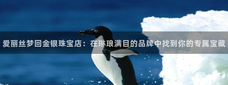 开丰娱乐乙833_43：爱丽丝梦回金银珠宝店：在琳琅满目的品牌中找到你的专属宝藏