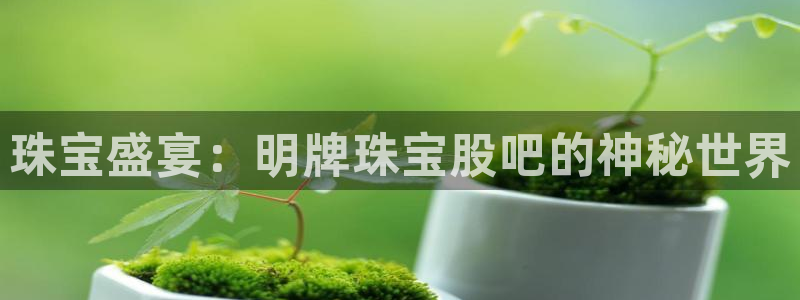 开丰娱乐怎么样：珠宝盛宴：明牌珠宝股吧的神秘世界