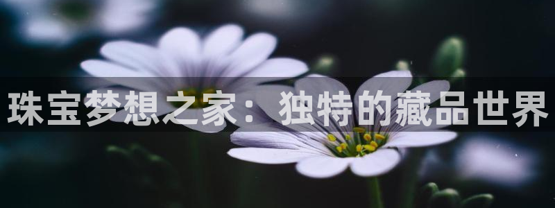 开丰娱乐登录注册：珠宝梦想之家：独特的藏品世界