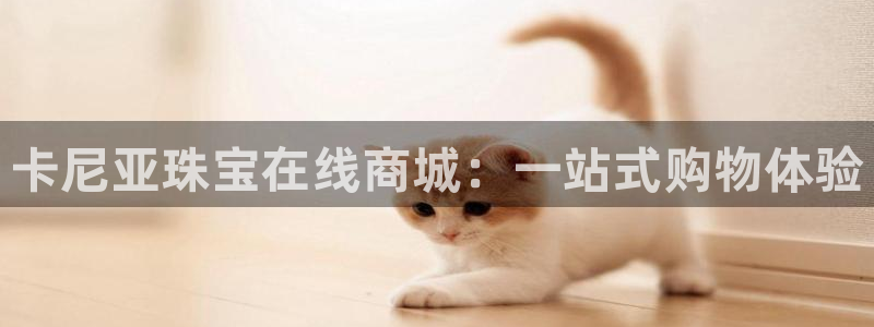开丰娱乐科技：卡尼亚珠宝在线商城：一站式购物体验
