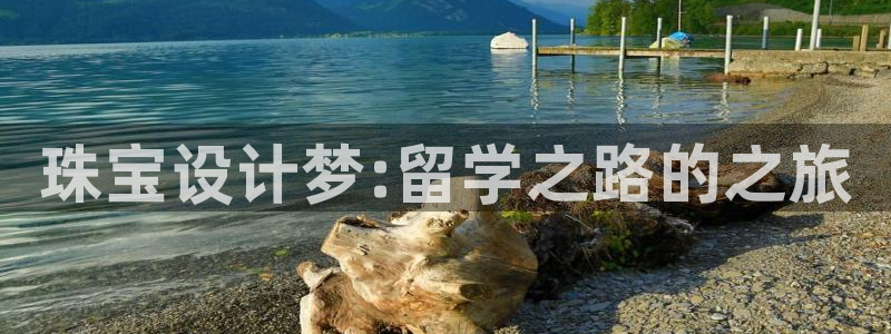 开丰娱乐姜333OO：珠宝设计梦:留学之路的之旅