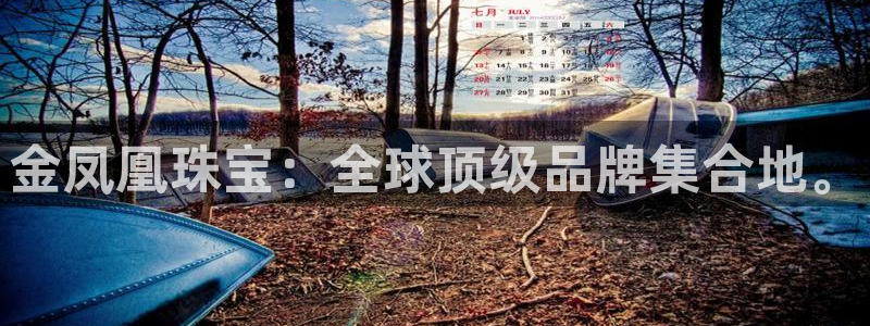 开丰娱乐官网平台下载：金凤凰珠宝：全球顶级品牌集合地。