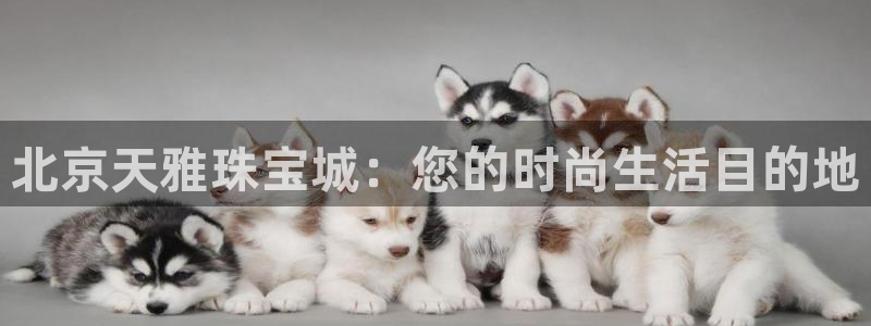 开丰娱乐平台官网登录：北京天雅珠宝城：您的时尚生活目的地