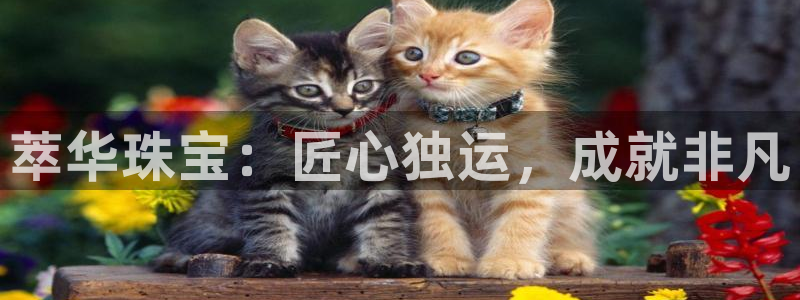 开丰娱乐主管：萃华珠宝：匠心独运，成就非凡