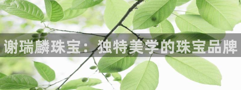 开丰娱乐咋7O777：谢瑞麟珠宝：独特美学的珠宝品牌