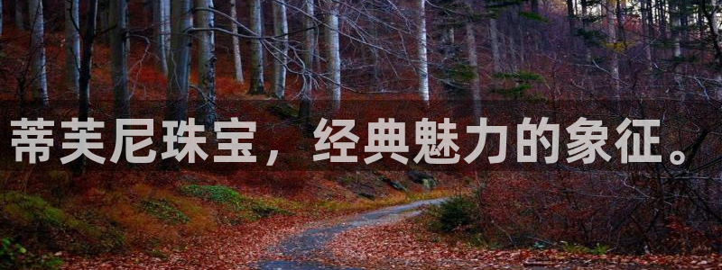 开丰娱乐登录注册：蒂芙尼珠宝，经典魅力的象征。