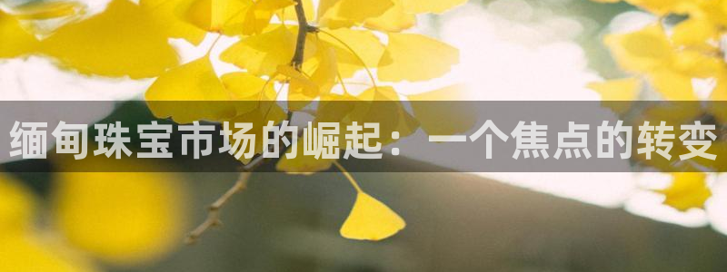 开丰娱乐登陆地址：缅甸珠宝市场的崛起：一个焦点的转变