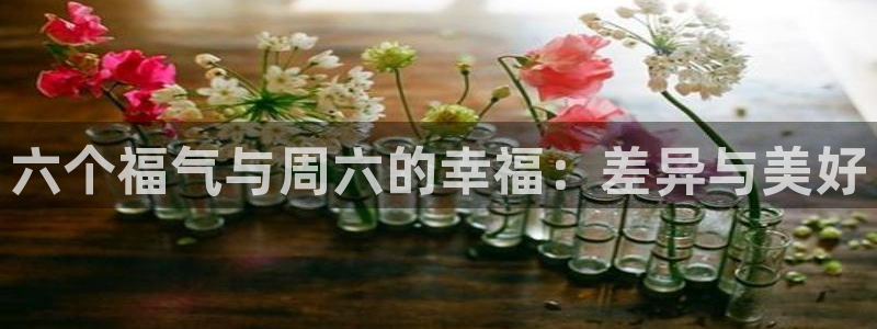 开丰娱乐平台登录网址：六个福气与周六的幸福：差异与美好