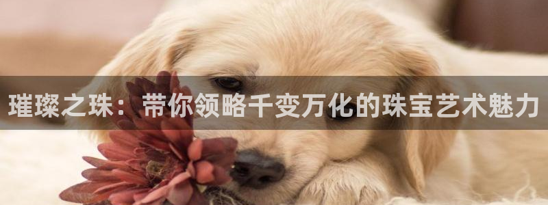 开丰娱乐线路：璀璨之珠：带你领略千变万化的珠宝艺术魅力