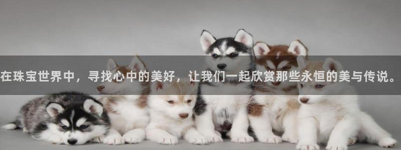 开丰娱乐登陆地址：在珠宝世界中，寻找心中的美好，让我们一起欣赏那些永恒的美与传说