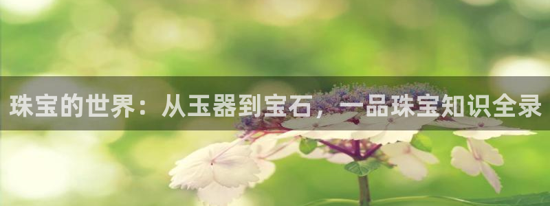 开丰娱乐官网招聘：珠宝的世界：从玉器到宝石，一品珠宝知识全录