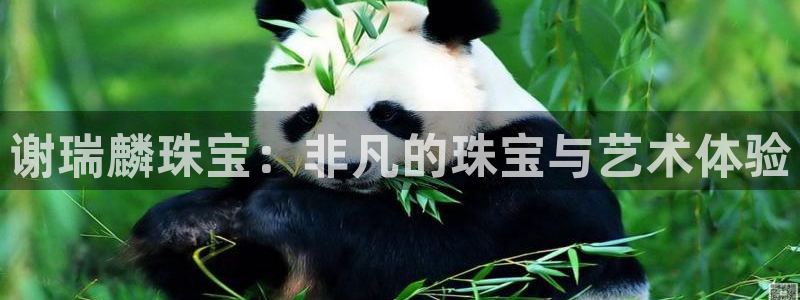 开丰娱乐联系q徽22212：谢瑞麟珠宝：非凡的珠宝与艺术体验