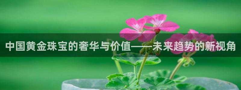 开丰娱乐登入地址在哪查：中国黄金珠宝的奢华与价值——未来趋势的新视角