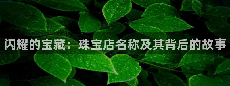 开丰娱乐怎么样：闪耀的宝藏：珠宝店名称及其背后的故事