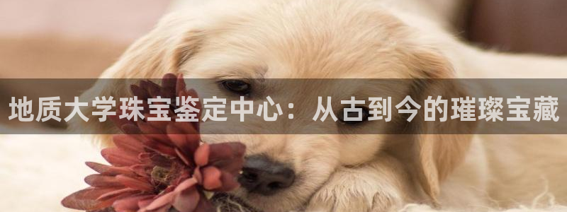 开丰娱乐登入地址：地质大学珠宝鉴定中心：从古到今的璀璨宝藏