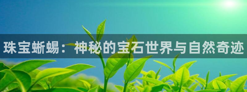 开丰娱乐体育平台：珠宝蜥蜴：神秘的宝石世界与自然奇迹