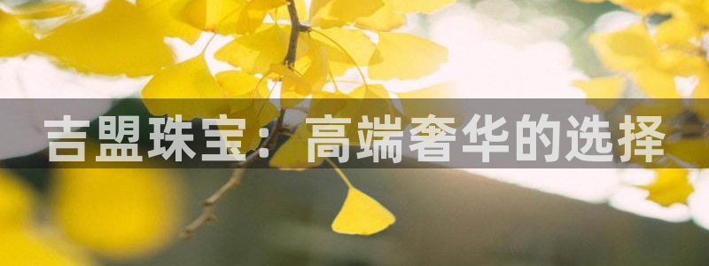 开丰娱乐注册登录不了：吉盟珠宝：高端奢华的选择